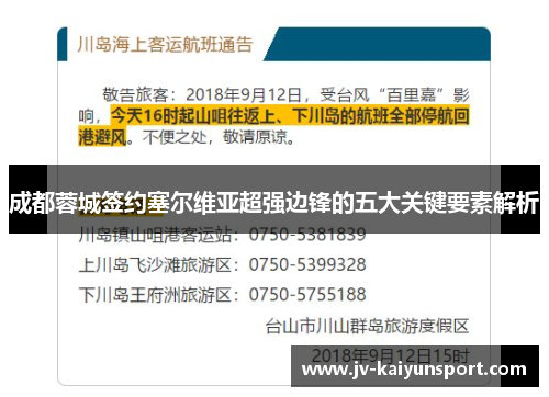 成都蓉城签约塞尔维亚超强边锋的五大关键要素解析