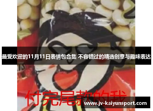 最受欢迎的11月11日表情包合集 不容错过的精选创意与趣味表达