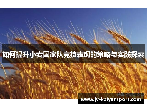 如何提升小麦国家队竞技表现的策略与实践探索