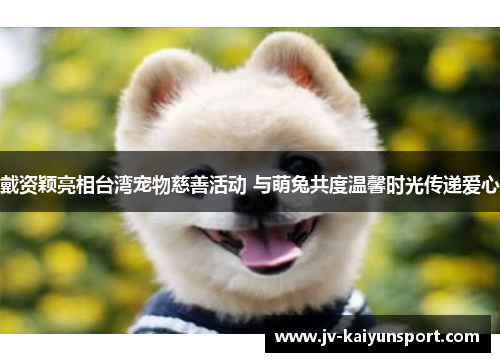 戴资颖亮相台湾宠物慈善活动 与萌兔共度温馨时光传递爱心 戴资颖亮相台湾宠物慈善活动 与萌兔共度温馨时光传递爱心