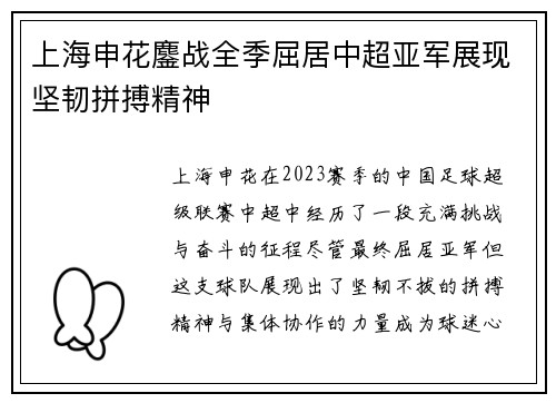 上海申花鏖战全季屈居中超亚军展现坚韧拼搏精神