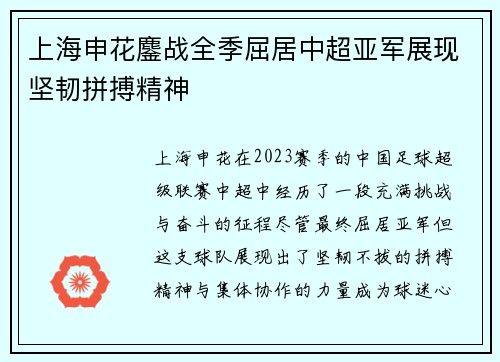 上海申花鏖战全季屈居中超亚军展现坚韧拼搏精神